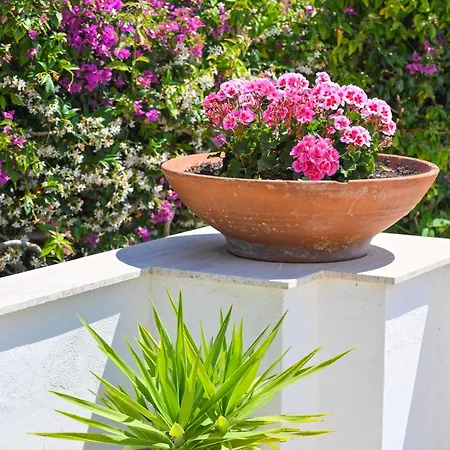 A Maddalena Con Piscina, Giardino E Posto Auto - 6 Posti Letto Вилла Искья