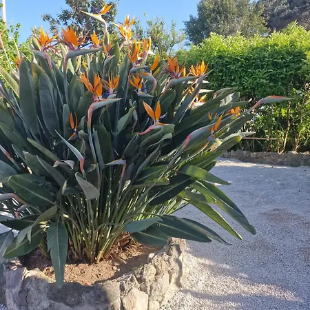 A Maddalena Villa Ischia